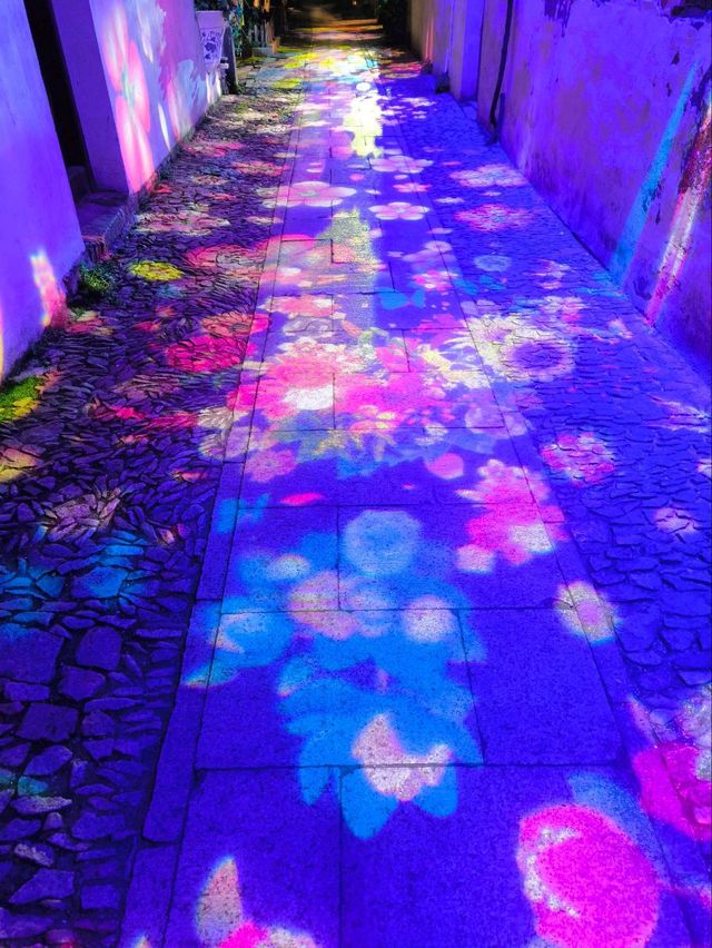 แสง สี ที่สดใสใน โจจวง แสง สี ที่สดใสใน โจจวง