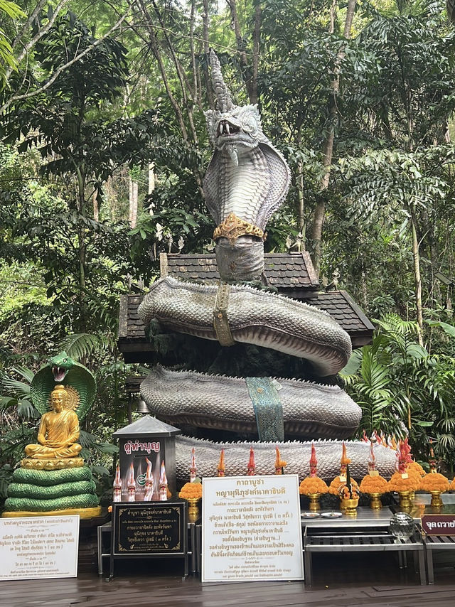 ไหว้ปู่ภุชงค์นาคาธิบดี แม่ออน 