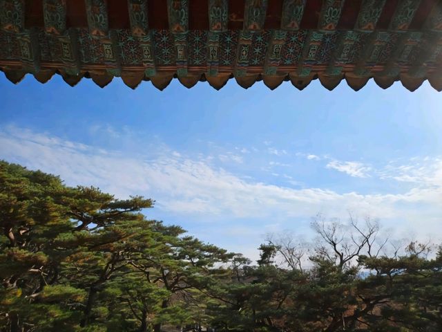 가을 단풍이 예쁜 경주 불국사 여행 🍁