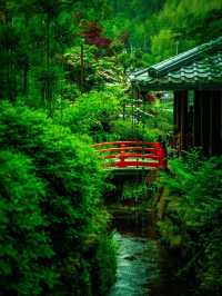 🌿🏯 Reizan-ji Temple – A Green Gem in the Heart of Nara 🌸🌿