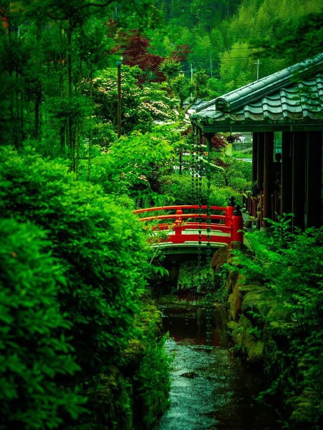 🌿🏯 Reizan-ji Temple – A Green Gem in the Heart of Nara 🌸🌿