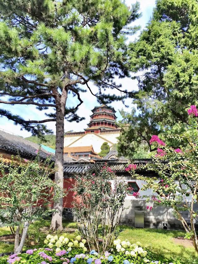เหมือนหลงเข้าไปอยู่ในซีรีส์จีนโบราณ 🌸🏯✨ เหมือนหลงเข้าไปอยู่ในซีรีส์จีนโบราณ 🌸🏯✨