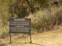 Victoria Falls — The Trip of a Lifetime!
