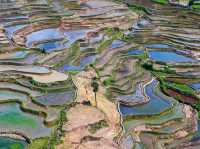 🌾🏔️ Yuanyang Hani Terraces — A Living Symphony of Earth, Water, and Humanity