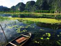🌿 Van Long Wetland Nature Reserve – The “Hidden Bay” of Ninh Binh 🌿