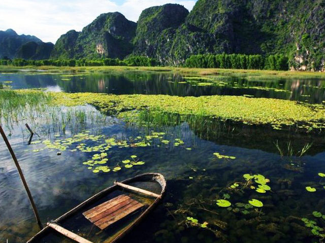 🌿 Van Long Wetland Nature Reserve – The “Hidden Bay” of Ninh Binh 🌿