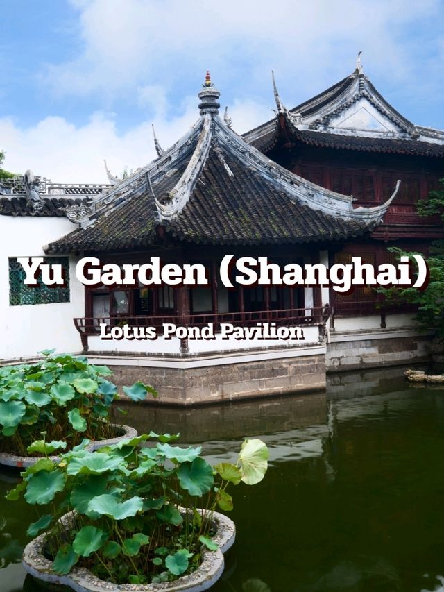 Yu Garden @ Shanghai