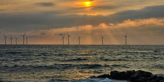 Breezes of Jeju — Where Nature Meets Peace