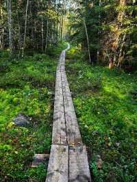 🌲 Seitseminen National Park – Where Finnish Wilderness Comes Alive
