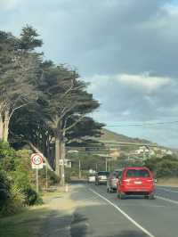 🌊 One Day Road Trip: The Great Ocean Road