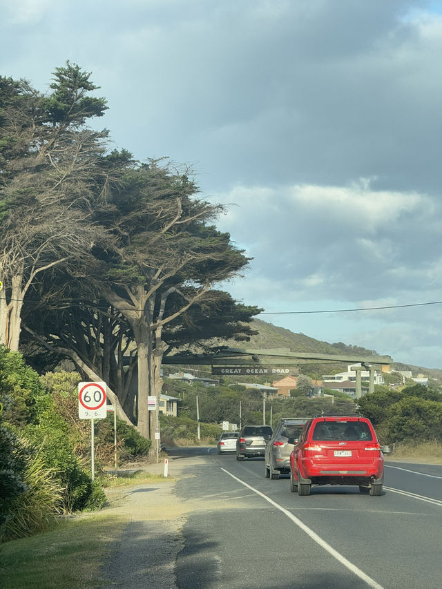 🌊 One Day Road Trip: The Great Ocean Road  🌊 One Day Road Trip: The Great Ocean Road