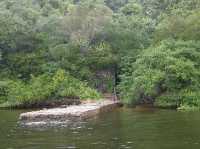 Chacachacare Island - Uninhabited Island