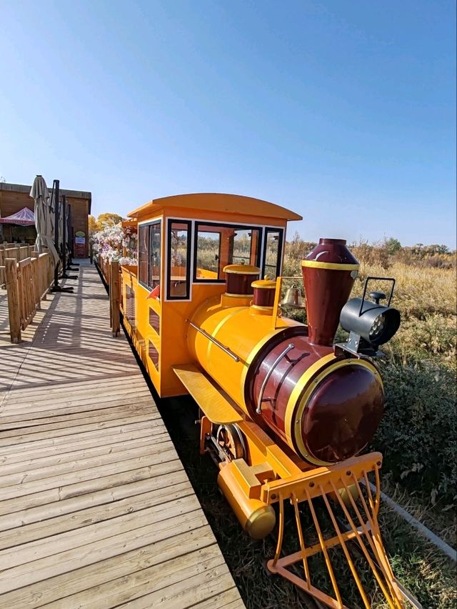 The Fairy-Tale Train Through Golden Populus Forests The Fairy-Tale Train Through Golden Populus Forests