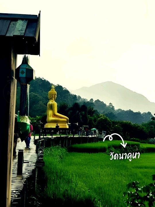 🌸ไหว้พระ ชมวิวทุ่งนา วัดนาคูหา