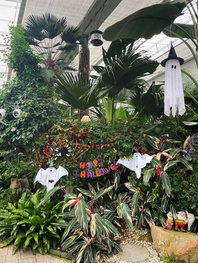 할로윈을 즐겨요, 용인자작나무 숲👻
