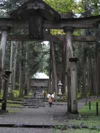 境内を覆う220種の苔  厳かで美しい景観