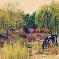 Nature Retreat🍃