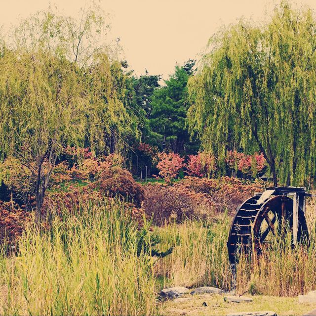 Nature Retreat🍃