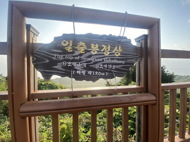 성산일출봉 유채꽃과 감성 카페 코스 (한국어 작성)