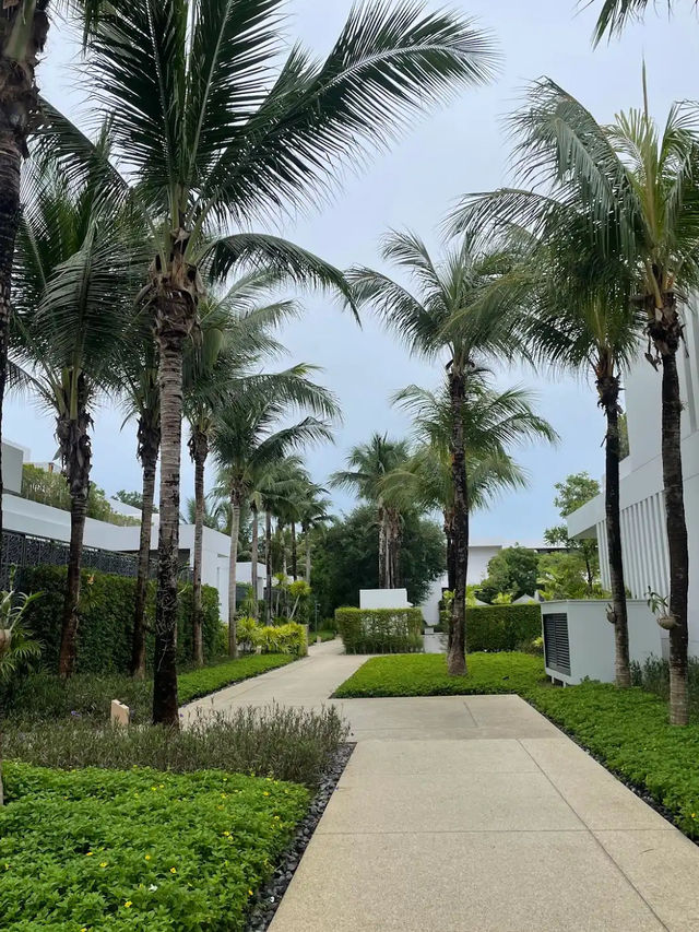 Meliá Phuket Mai Khao โรงแรมสวยภูเก็ต Meliá Phuket Mai Khao โรงแรมสวยภูเก็ต