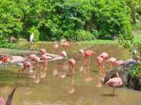 富國島珍珠野生動物園