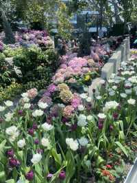 Flora Exhibition Hall💐💐