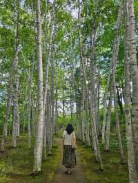 삿포로 5박6일 여행 포토 스팟