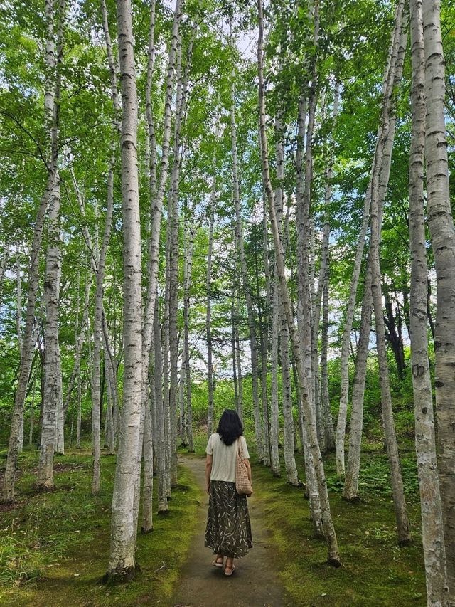 삿포로 5박6일 여행 포토 스팟