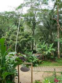 【ラオス🇱🇦】クアンシーの滝