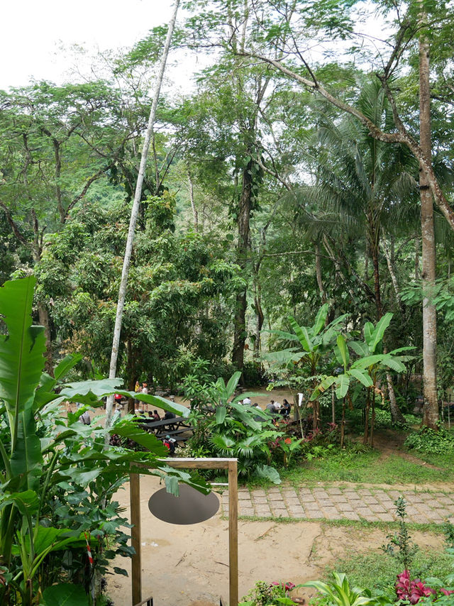 【ラオス🇱🇦】クアンシーの滝