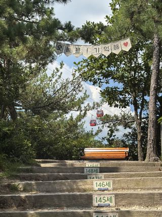 Mokpo Travel Course 🍃