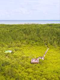 เที่ยวระยอง ครบทุกอารมณ์ ทั้งทะเล ป่าเขา