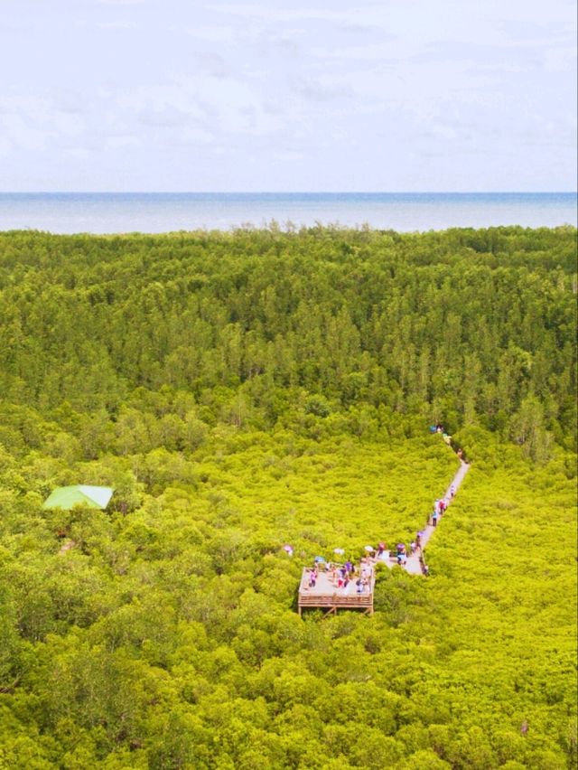 เที่ยวระยอง ครบทุกอารมณ์ ทั้งทะเล ป่าเขา เที่ยวระยอง ครบทุกอารมณ์ ทั้งทะเล ป่าเขา