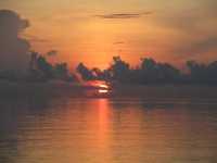 Onok Island - Paradise of sea turtle