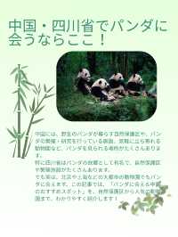 シャンシャンに会いたい！中国・四川省でパンダに会える場所