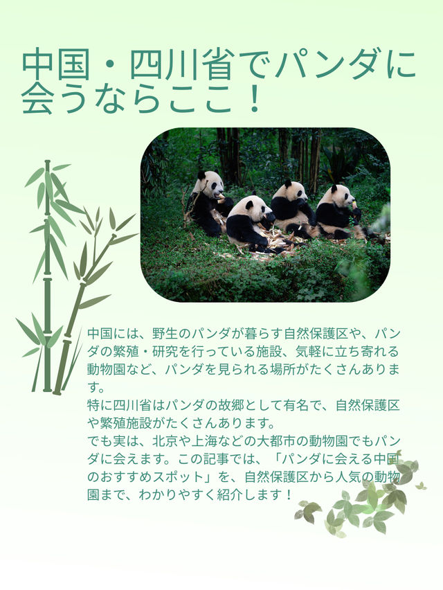 シャンシャンに会いたい！中国・四川省でパンダに会える場所