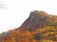 노보리베츠에 갔다면 꼭 들려야할 🍁단풍으로 가득한 ‘노보리베츠 지옥계곡’