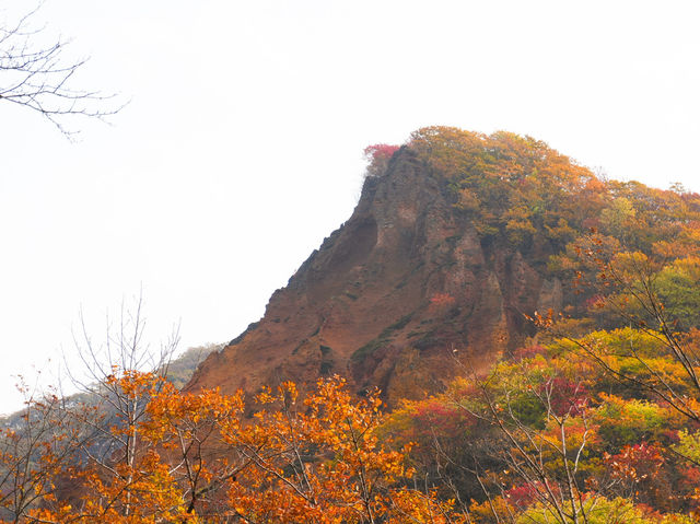 노보리베츠에 갔다면 꼭 들려야할 🍁단풍으로 가득한 ‘노보리베츠 지옥계곡’