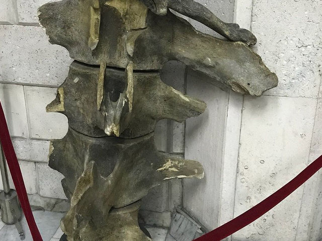 Central State Museum of Kazakhstan