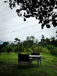 Nature Food Escape🌿