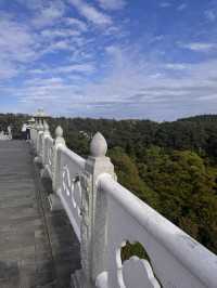 Jeju Nature Days🌼