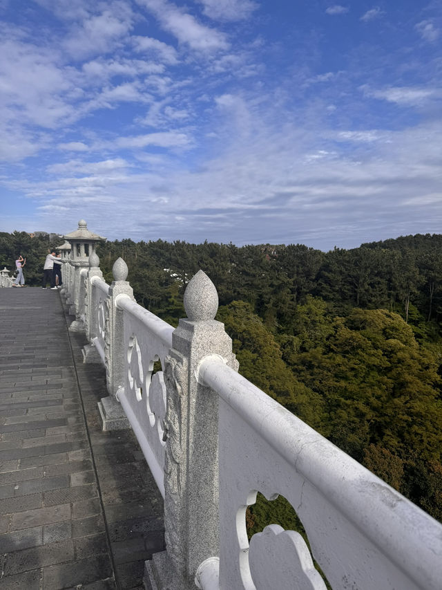 Jeju Nature Days🌼 Jeju Nature Days🌼