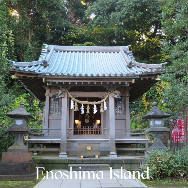  🌊 รีวิวเกาะเอโนชิมะ (Enoshima) 