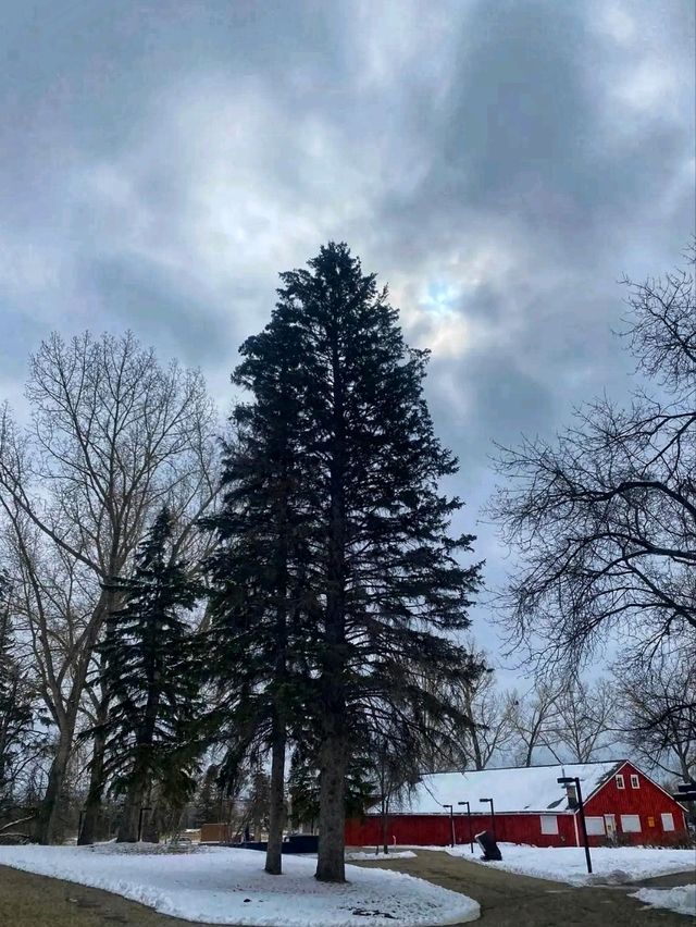🌲 Fish Creek Provincial Park – Calgary’s Wild Urban Wilderness 🌲 Fish Creek Provincial Park – Calgary’s Wild Urban Wilderness