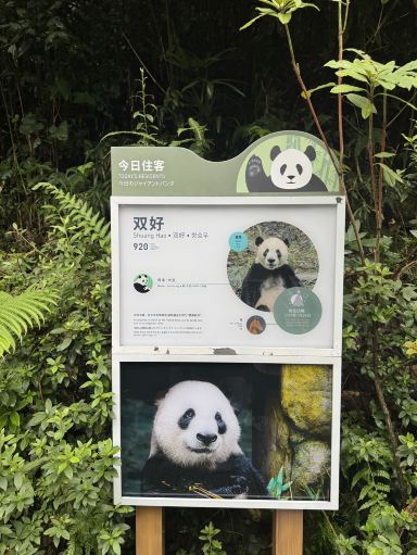 古都音様　DACキット「Night Visitor」「Panda Valley」 Panda Valley Tickets [2026] - Promos, Prices, Reviews & Opening