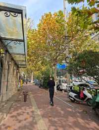 เที่ยวจีนฟีลยุโรป! แจกแพลนเที่ยว"ชิงเต่า"5วัน4คืน