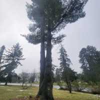 Queen Elizabeth Park