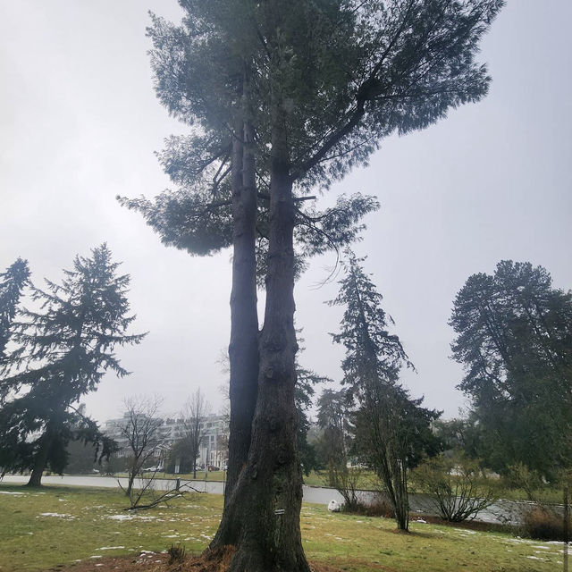 Queen Elizabeth Park Queen Elizabeth Park