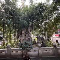 Two-Day Taian Itinerary