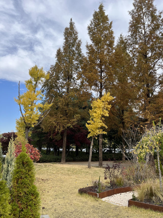 전주 아울정원 야외정원 숲산책로 추천🌲 전주 아울정원 야외정원 숲산책로 추천🌲